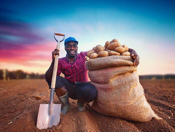 agro-inteligente-territorios-AI